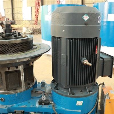 Ring Die Wood Biomass Sawdust Straw Pelletize Fuel Pellet Making Machine For Farm Use